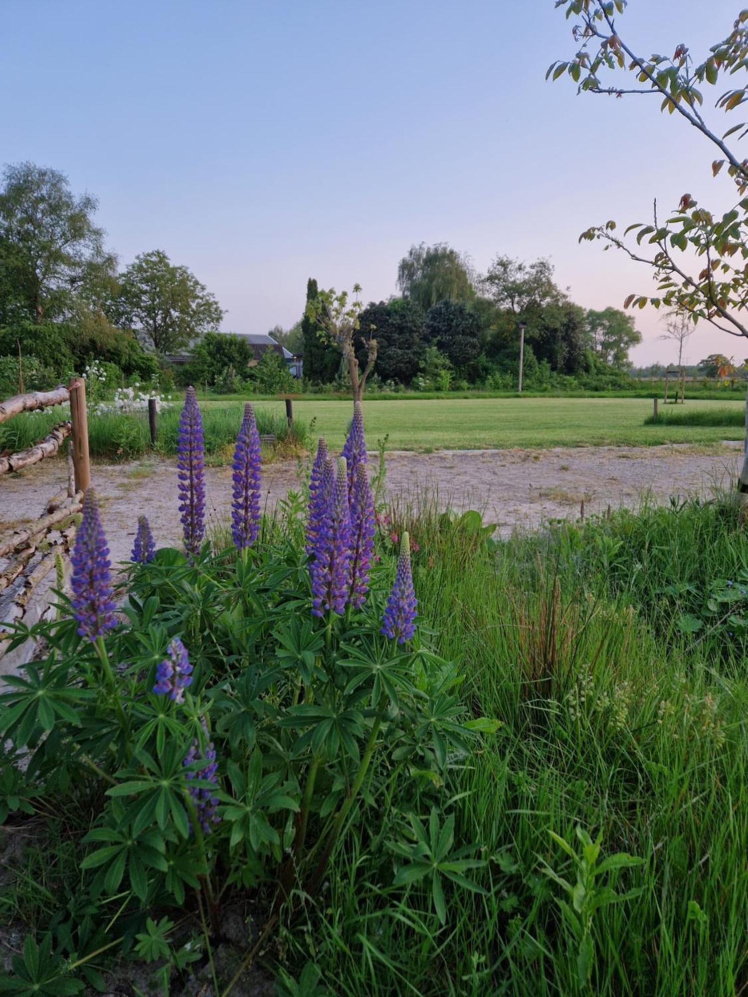 De Wilde Tuin - Tuinkamer Moergestel Dış mekan fotoğraf